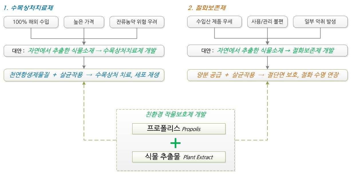 본 연구의 개념도