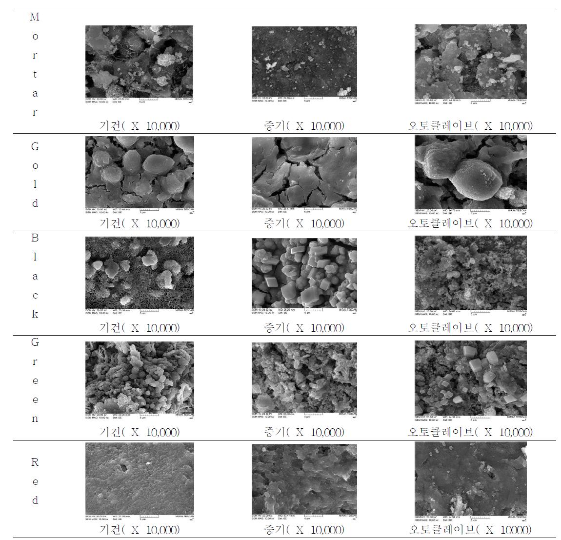 양생방법에 따른 컬러별 미세구조(SEM)
