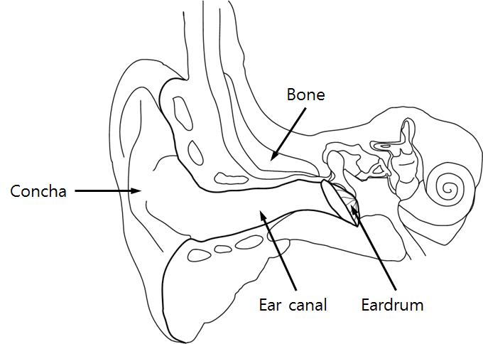 사람 귀의 구조