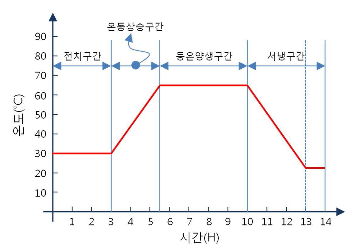 표준증기양생 방법