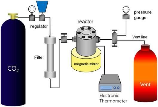 The 5 mL stainless steel reactor system