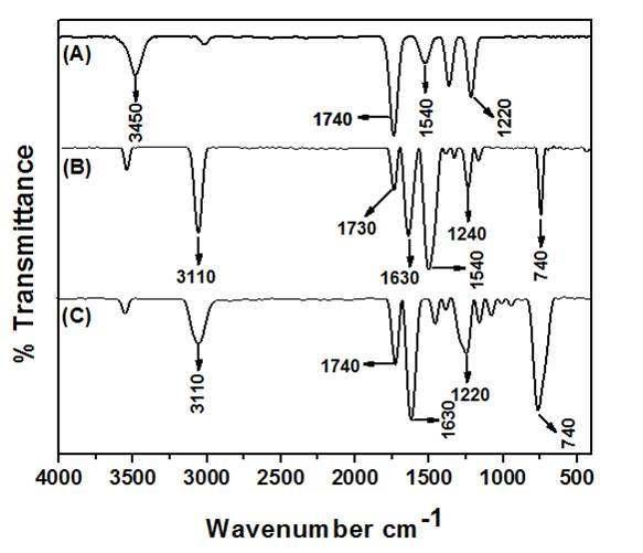 IR spectra of A) CNT–COOH, B) CNT–PEP hybrid and C) PEP