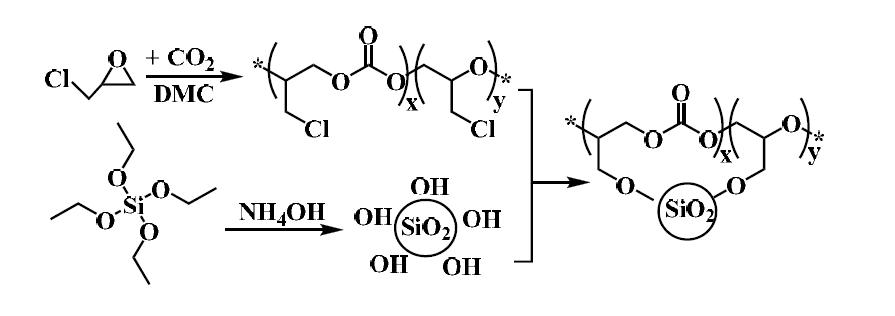 Synthetic protocol for the preparation of poly(PC-co-PO)-g-SiO2 nanocomposites.