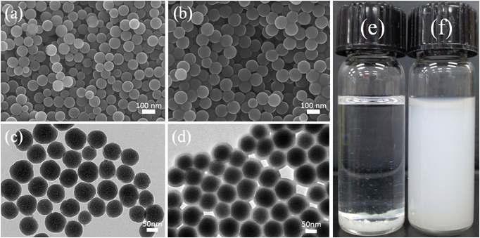 SEM (a, b) and TEM (c, d) images of SiO2 NPs and PPC-g-SiO2, respectively; dispersion of SiO2 NPs (e) and PPC-g-SiO2 (f) in toluene (1% wt).