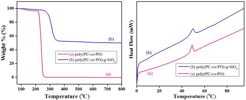 TGA and DSC thermograms of the PPC copolymer and PPC-g-SiO2 nanocomposites.