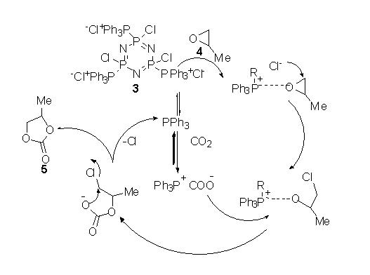 CO2 and organocatalyst mechanistic pathway