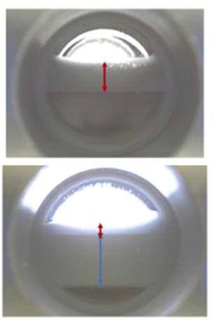 Image capture for the foamability calculation of surfactants in the mixture of brine and CO2 (1/1)