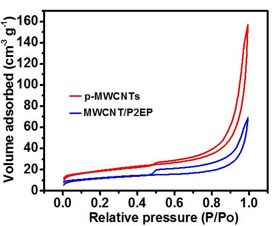 Nitrogen adsorption/desorption spectra of MWCNT/P2EP hybrid.