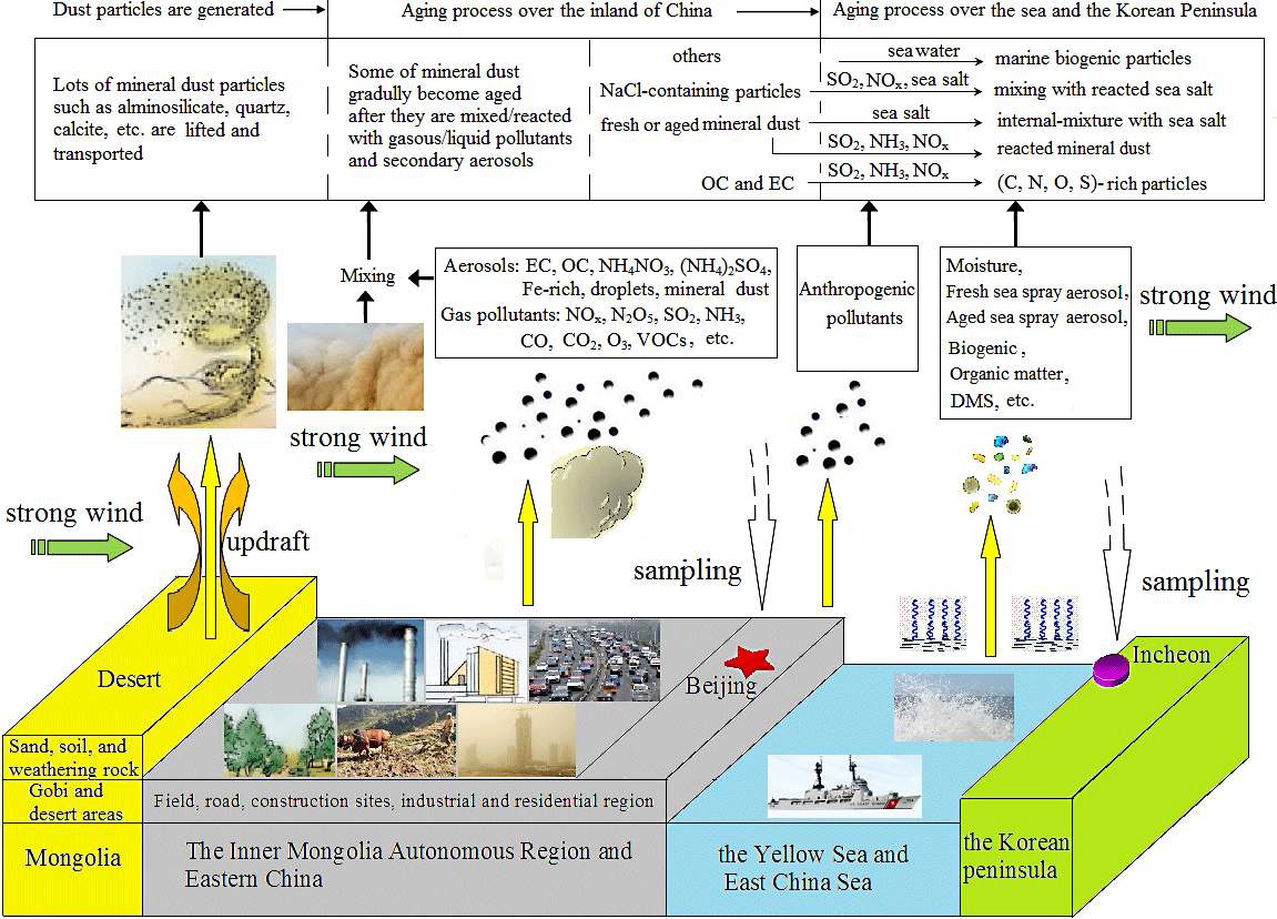 황사 입자의 장거리 수송 중 일어나는 혼합 및 물리-화학적 과정의 도식
