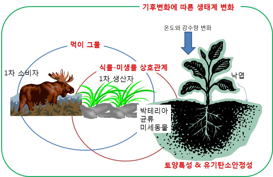 중형과제-6의 연구개발 추진 얼개