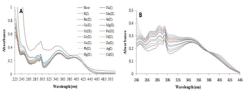 (A) Changes in the UV-vis absorption spectra of sensor 1 (1.5 μ M) in the presence of metal nitrate salts in HEPES buffered CH3CN/H2O (8:2, v/v, pH = 7.0); (B) Changes in UV-vis absorption spectra of sensor 1 (1.5 μ M) with increasing concentrations of Mg2+ in HEPES buffered CH3CN/H2O (8:2, v/v, pH = 7.0).