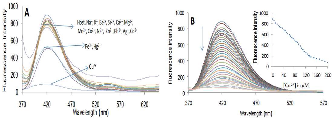 (A) Changes in the fluorescence spectra of 2 (1 μ M) upon addition of a specific metal nitrate salt (100 μ M) in HEPES-buffered CH3CN/H2O (8:2, v/v, pH = 7.0) with an excitation at 350 nm; (B) fluorescence emission spectra of 2 (1 μ M) showing intensity quenching upon successive addition of Cu2+ in HEPES-buffered CH3CN/H2O (8:2, v/v, pH = 7.0) with an excitation at 350 nm. The inset shows the fluorescence intensity of 2 at λmax = 420 nm with respect to the concentration of Cu2+ (0–200 μ M).