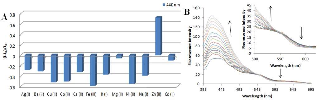 (A) Fluorescence ratio ((I - I0 ) / I0 ) of receptor 10 (10 μM) upon addition of metal nitrate salts (40 μM) in a DMSO/CH3CN (1:9, v/v) solvent system excited at 372 nm; (B) Changes in fluorescence spectra of receptor 10 (10 μM) in a DMSO/ CH3CN (1:9, v/v) solvent system excited at 372 nm upon consecutive additions of Zn2+ ions (0-120 μM)) (inset represent the decrease in fluorescence intensity around 545 nm).