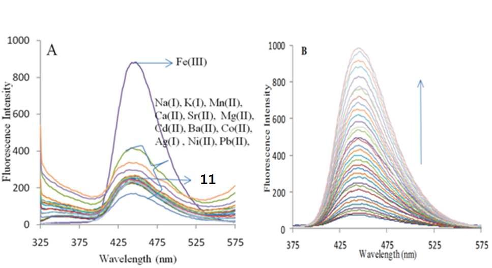 (A) Fluorescence spectra of sensor 11 (1.3μ M) upon adding nitrate salt of various metal ions (20 μ M) in TRIS buffered CH3CN/H2O (8/2, v/v, pH = 7.6) when excited at 310 nm. (B) Fluorescence spectra of sensor 11 upon adding Fe3+ (0-20 μ M).