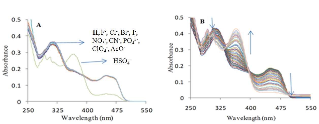 (A) Changes in UV-vis absorption spectra of sensor 11 (1.3 μ M) upon adding tetrabutyl ammonium salt of various anions (20 μ M) in TRIS buffered CH3CN/H2O (8/2, v/v, CH3CN/H2O, pH = 7.6). (B) Changes in UV-vis absorption spectra of sensor 11 (1.3 μ M) upon successive addition of HSO4 - (0-20 μ M) in TRIS buffered CH3CN/H2O (8/2, v/v, pH = 7.6).