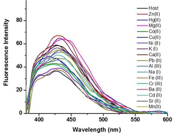 Fluorescence emission spectra of receptor 20 upon addition of various metal ions in DMSO/H2O (7:3, v/v).