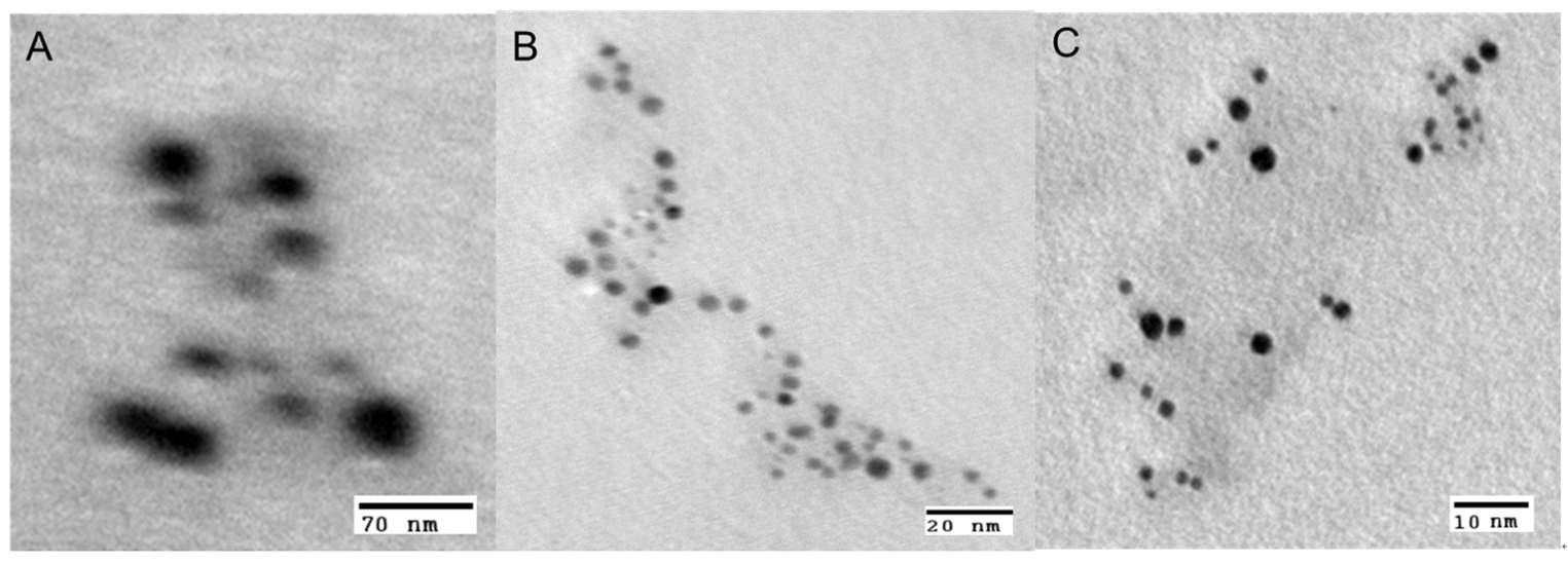 TEM images of (A) receptors 20, (B) 21 and (C) 22.