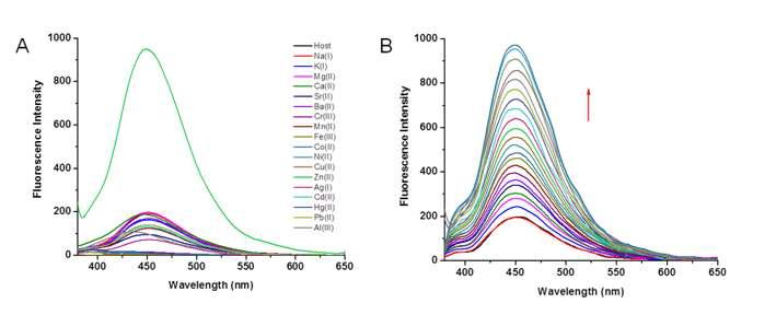 (A) Fluorescence emission spectra of receptor 26 upon addition of various metal ions in DMSO/H2O (7:3, v/v) (B) Changes in emission spectra of receptor 26 upon continuous addition of Zn2+ ions in DMSO/H2O (7:3, v/v).