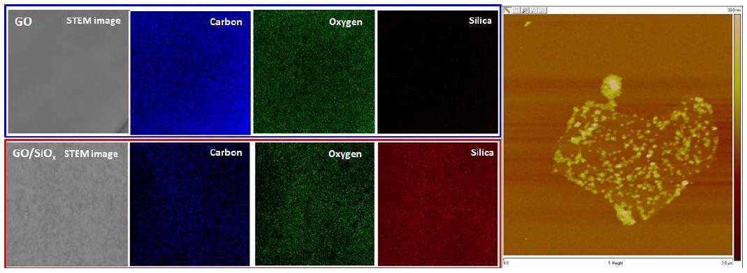 실리카 분자체 도입된 나노탄소 STEM, EDX 패턴 분석 및 AFM 사진