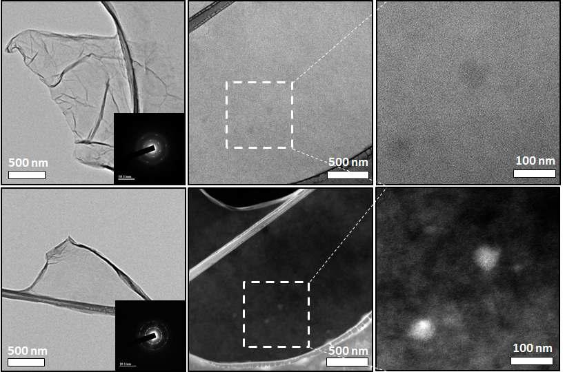GO 및 GO/BS sheet TEM 및 STEM 이미지
