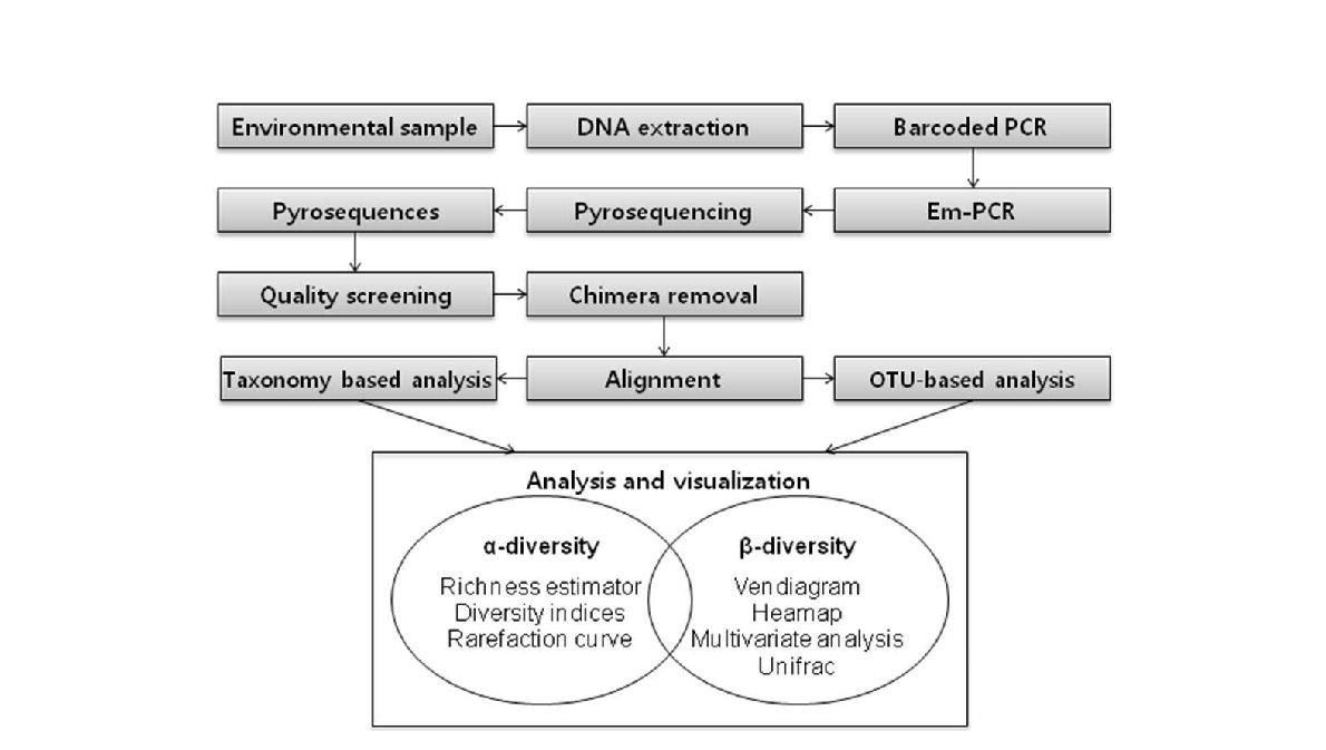 Pyrosequencing 분석 절차 모식도.