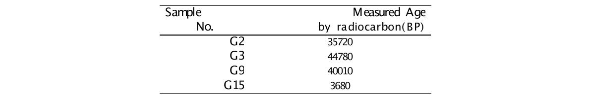 방사성 탄소(14C)를 이용한 탄소 연대 측정 분석 결과