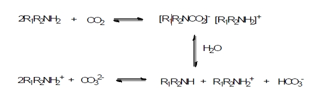 아민과 CO2의 반응 메카니즘.