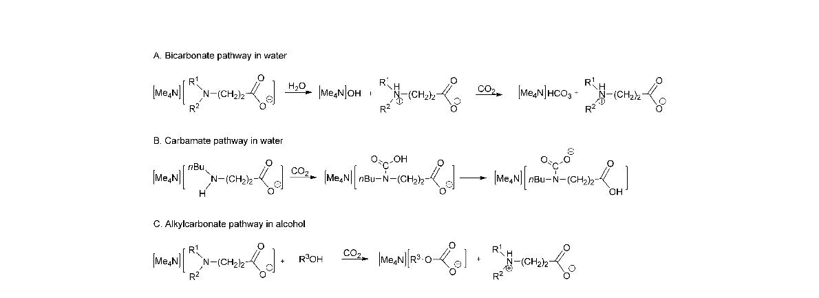 TMAA의 수계 및 비수계 용액의 CO2 흡수 경로 (1 : R1 = n-butyl, R2 = H ; 2 : R1 = R2 = n-butyl ; 3 : R1 = 2-(diethylamino)ethyl, R2 = H ; R3 = CH3, CH2CH2OH).