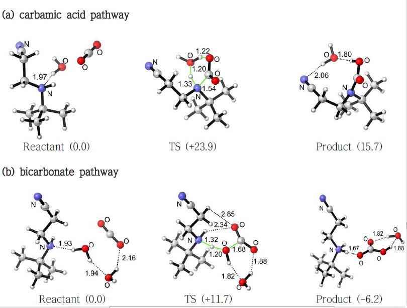 Pathway to the formation of carbamic acid (a) and bicarbonate (b) species (the numbers in parenthesis is relative energy to the reactant (kcal/mole)).