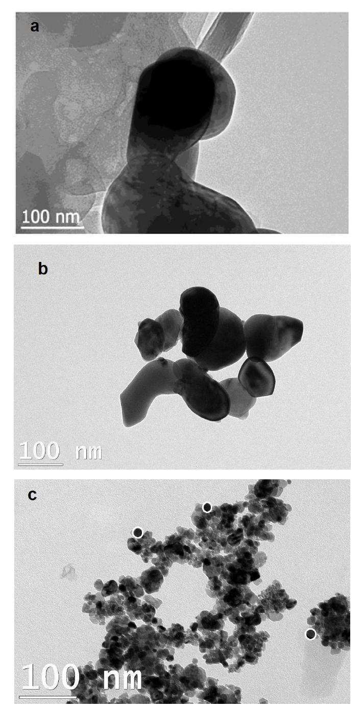 TEM 이미지; (a) Ceria-SA, (b) Ceria-S and (c) Ceria-CM