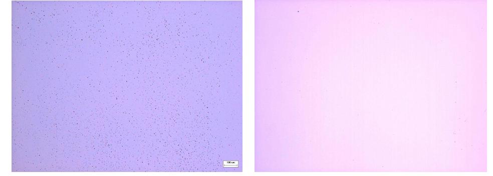 (a). 세정 전후의 SiO2 기판 현미경 관찰 이미지, 세정 전(왼쪽), 세정 후(오른쪽)