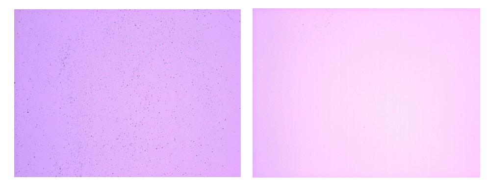 (b). 세정 전후의 Si3N4 기판 현미경 관찰 이미지, 세정 전(왼쪽), 세정 후(오른쪽)