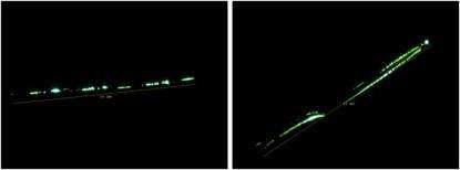 발생한 Scratch의 광학현미경 이미지