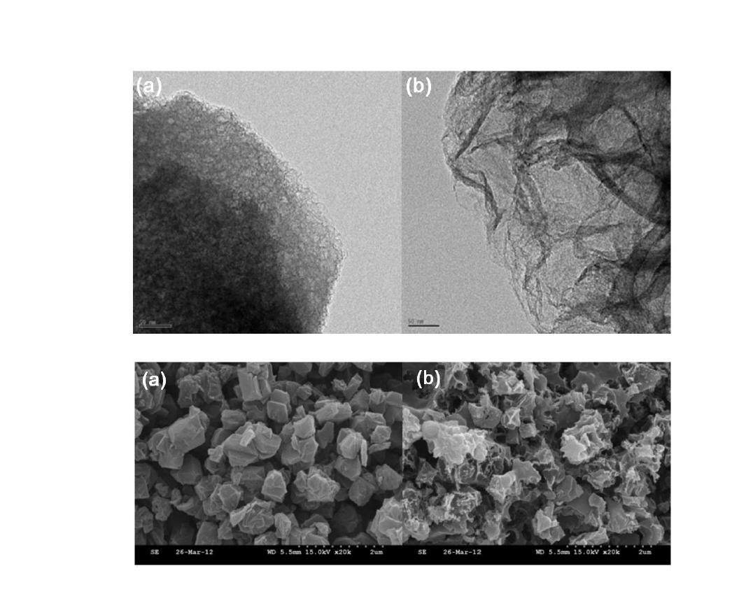 SEM and TEM image of (a) Zeolite-derived carbon 및 (b) Activated zeolite-derived carbon (800oC).