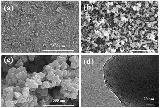 SEM (a-c) and TEM (d) images of N-enriched porous carbons