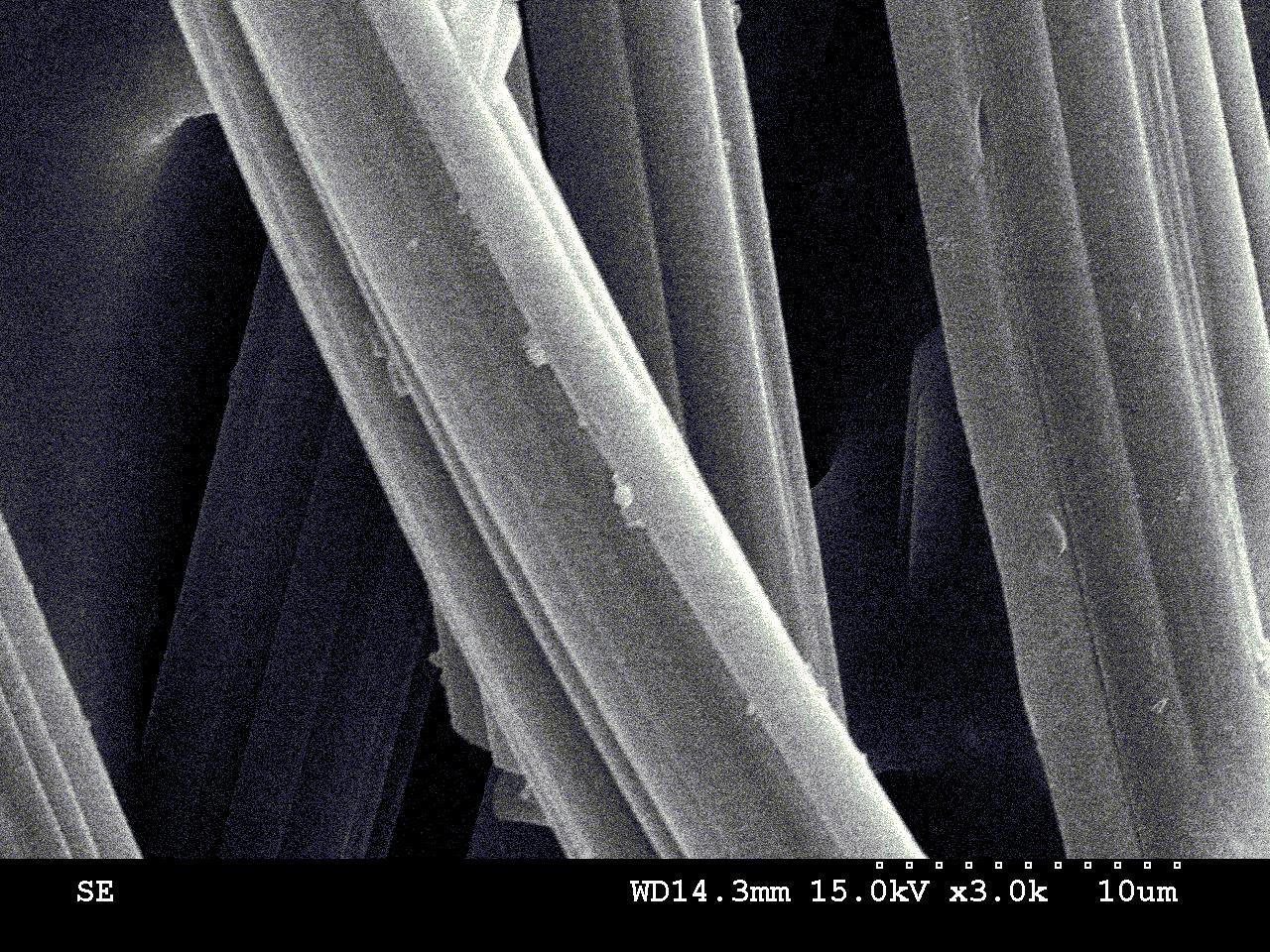 SEM image of ACFK-0 sample.