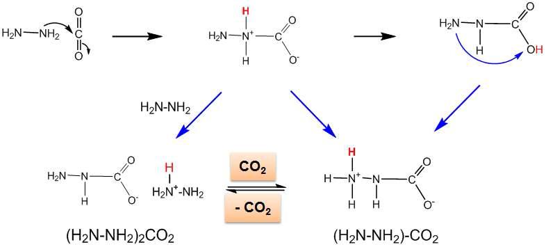 히드라진의 이산화탄소 흡수 과정
