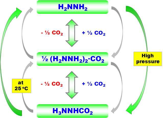 Zwitter ionic liquid (히드라진:이산화탄소 = 2:1)와 Zwitter ionic solid (히드라진:이산화탄소 = 1:1) 사이 과정 모식도