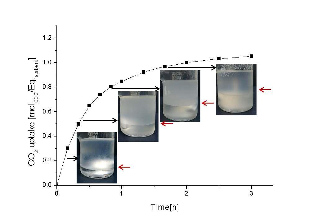 CO2 흡수량에 따른 정량적 상분리 현상.