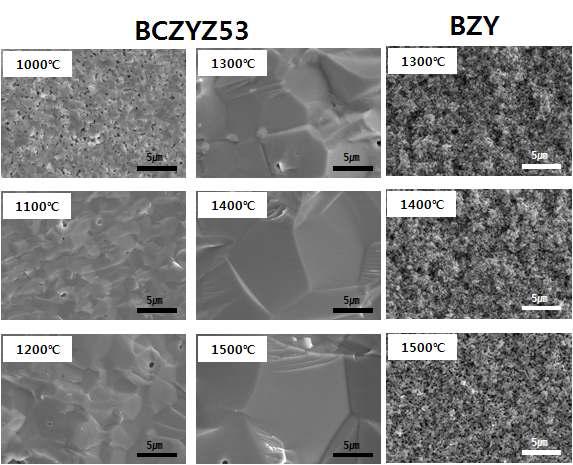 BCZYZ53과 BZY의 소결온도별 표면미세구조.