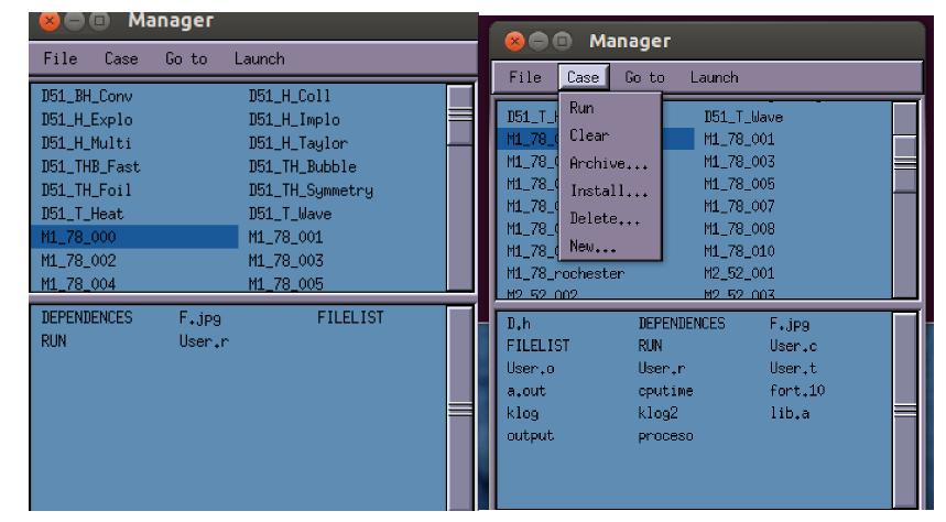 Manager의 Case탭에 있는 Run을 실행하면, 멀티가 구동되고 필수 환경설정파일 이외에 결과파일들이 생성된다.