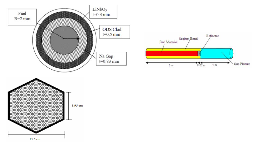 Geometrical design of fuel pin and the fuel assembly of SABR.