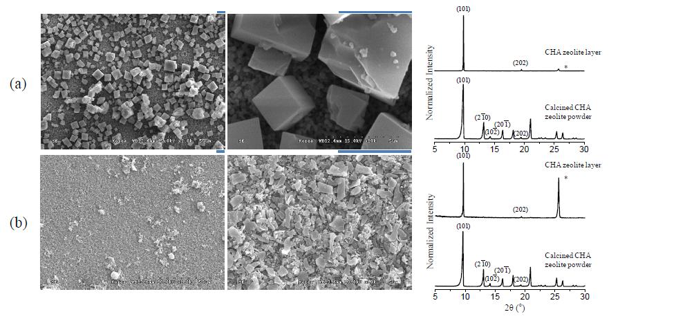 낮은 배율 (왼쪽)과 높은 배율 (가운데)로 측정한 CHA 제올라이트 씨앗층의 SEM 이미지. 이에 상응하는 XRD 패턴도 (오른쪽) 나타냈다. (a)와 (b)는 P155_60h_t (그림 3-12(b))와 P190_12h_t (그림 3-12(f))의 입자이다. 기준자는 SEM 이미지 위에 나타냈으며 5μm을 나타낸다. XRD 패턴에는 비교를 위해 소성 후 CHA 제올라이트 입자의 XRD 패턴도나타냈으며, *모양은 α-알루미나 디크스 픽을 나타낸다.