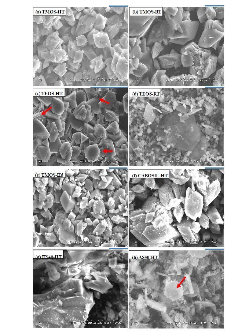 (a) NSG-TMOS-HT, (b) NSG-TMOS-RT, (c) NSG-TEOS-HT, (d) NSG-TEOS-RT, (e) NSG-TMOS-Hd, (f) NSG-CABOSIL-HT, (g) NSG-HS40-HT, 및 (h) NSG-AS40-HT 입자의 SEM 사진.