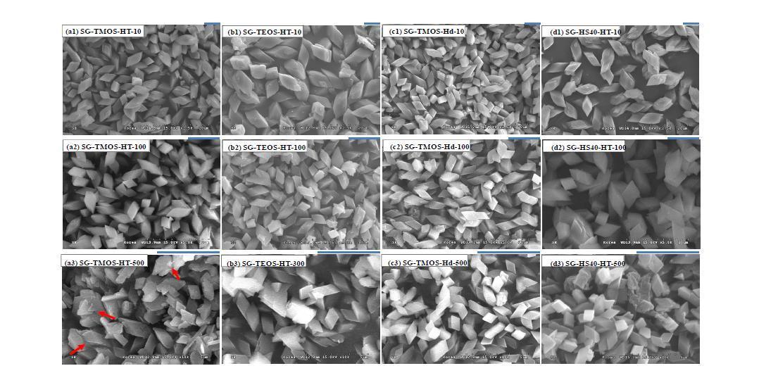 SG-TMOS-HT-x, SG-TEOS-HT-x, SG-TMOS-Hd-x, 및 SG-HS40-HT-x 입자의 SEM 사진 (x = 10, 100, and 500 (300)).