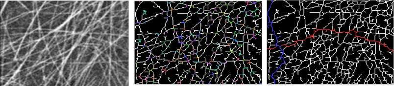 은나노와이어 networks 분석