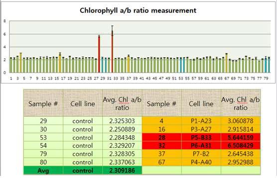 Chlorophyll a/b ratio를 측정하여 antenna 돌연변이 균주 탐색
