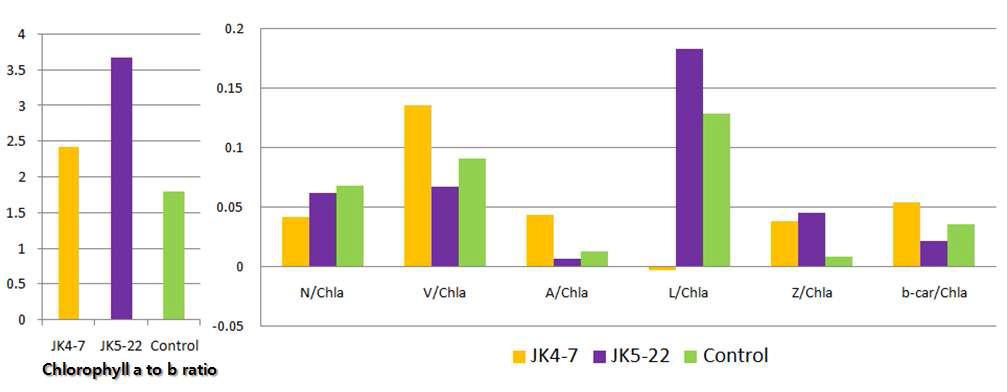 Control 대비 특이적인 양상을 보이는 JK4-7, JK5-22의 색소 분석 결과