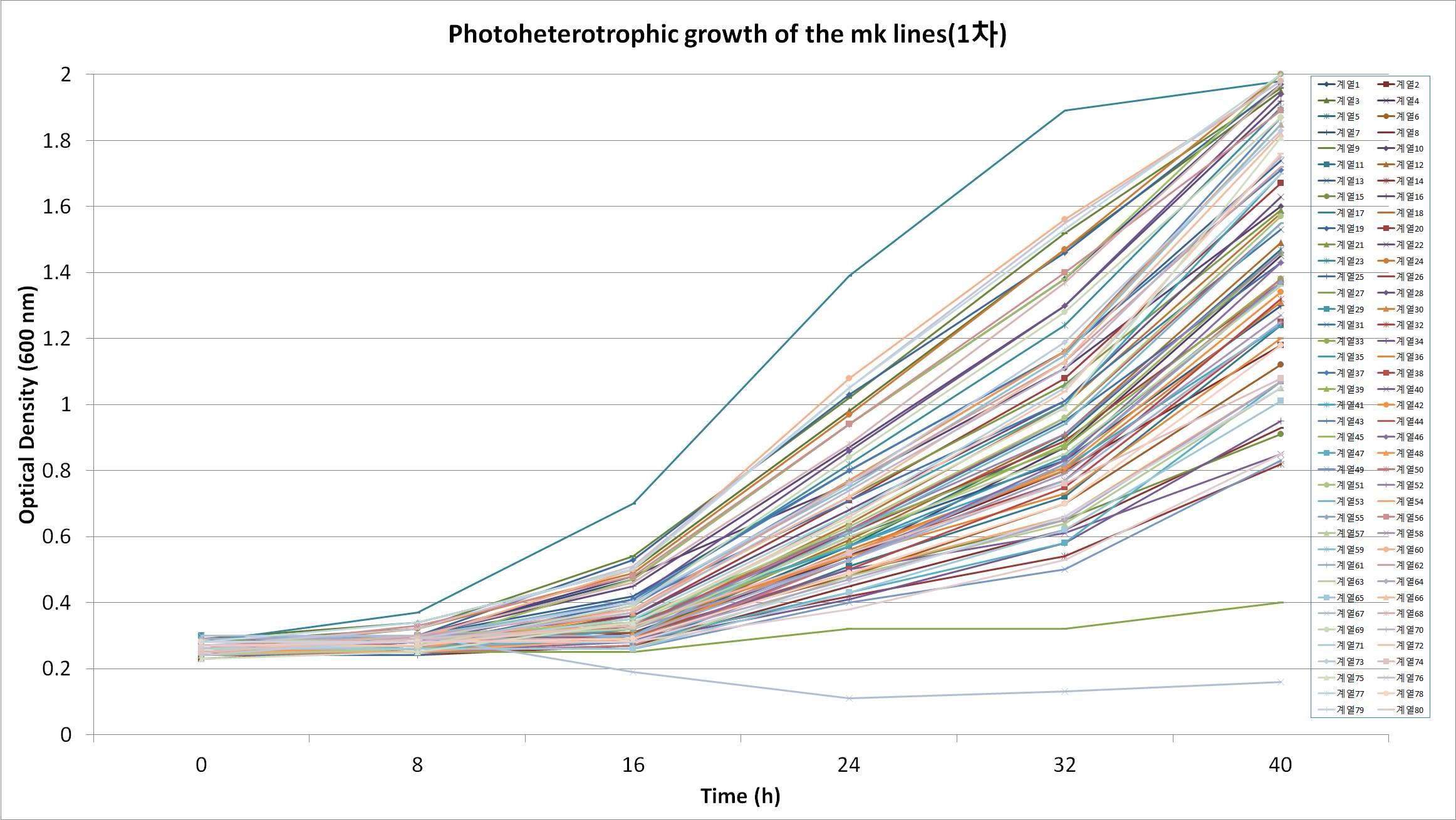 선발된 광합성 우수 후보군의 Photo-heterotrophic growth 1차 측정