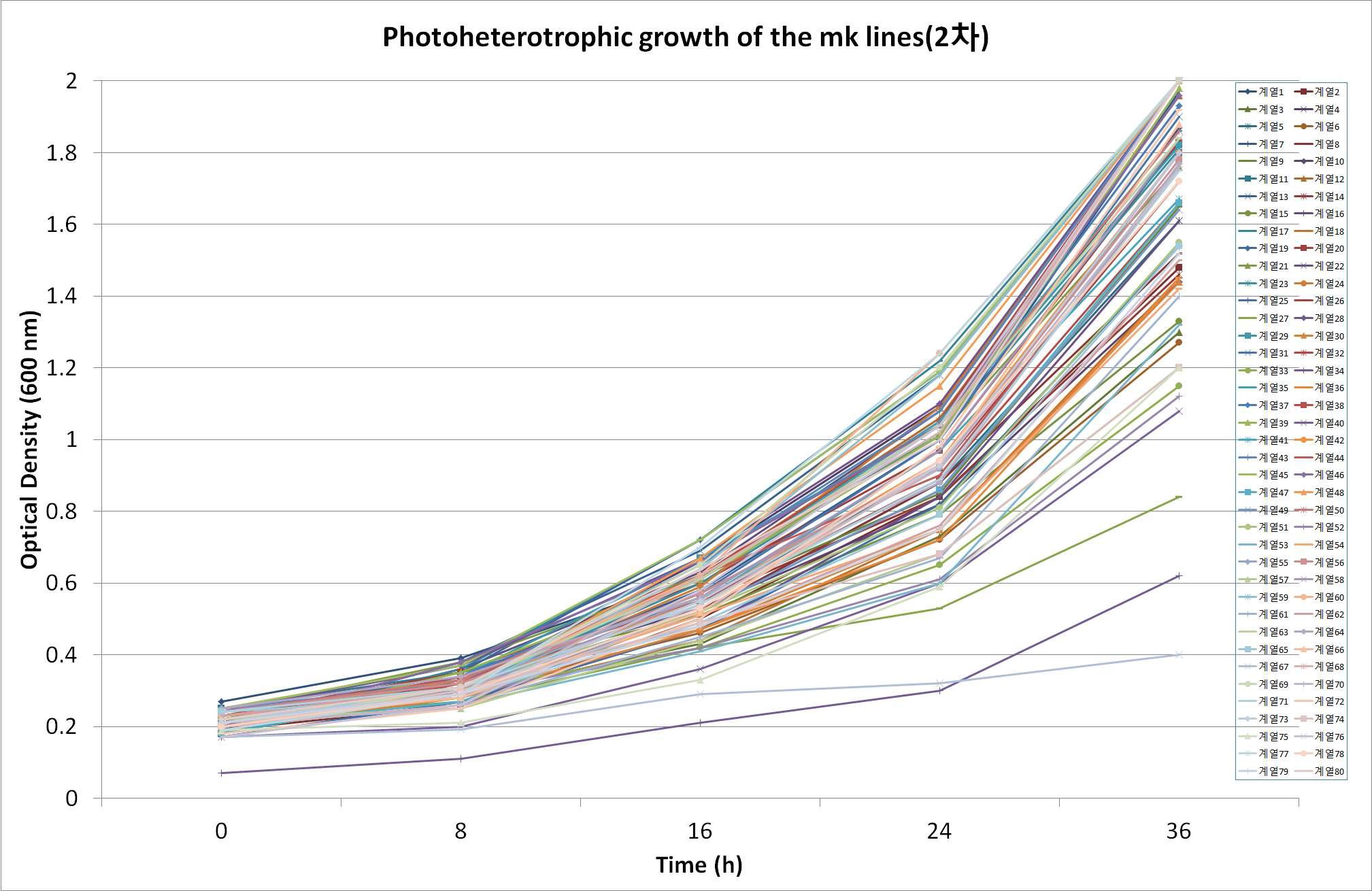 선발된 광합성 우수 후보군의 Photo-heterotrophic growth 2차 측정